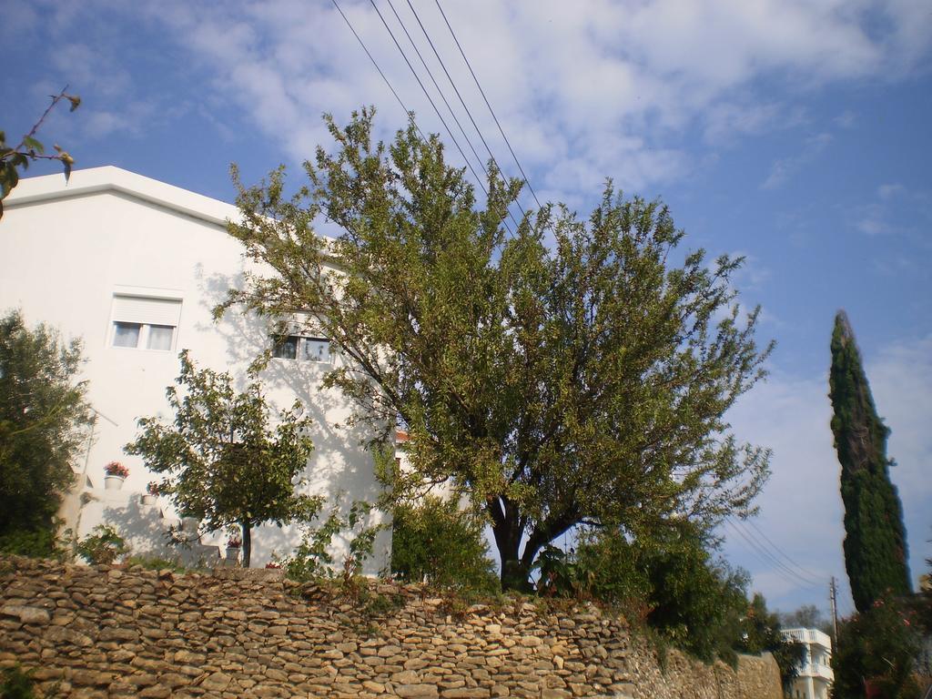 Apartment Vuk I Novak Ulcinj Esterno foto