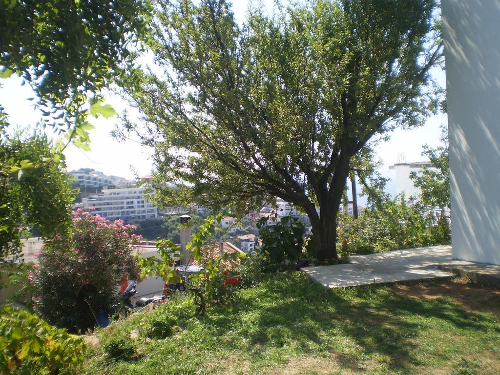 Apartment Vuk I Novak Ulcinj Esterno foto