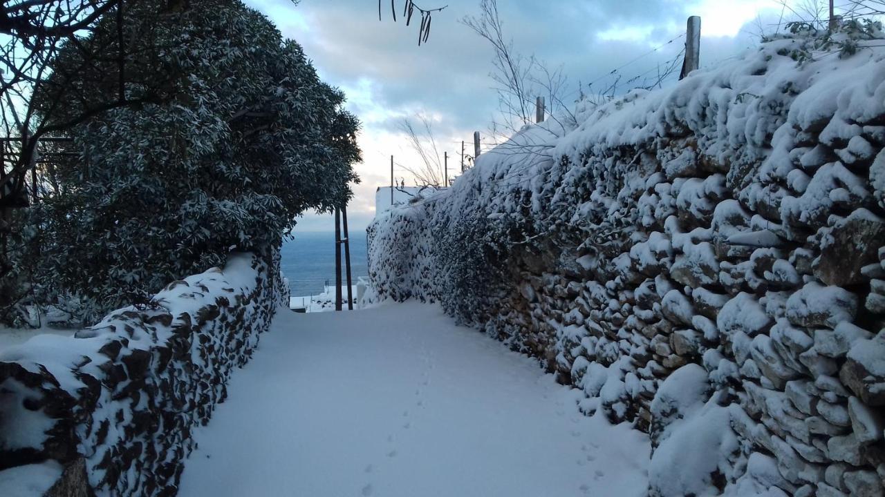 Apartment Vuk I Novak Ulcinj Esterno foto