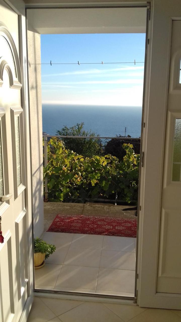Apartment Vuk I Novak Ulcinj Esterno foto