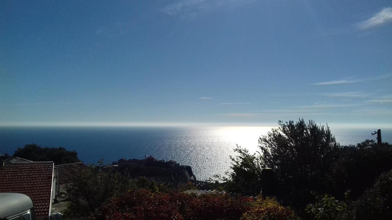Apartment Vuk I Novak Ulcinj Esterno foto